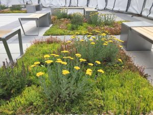 Concrete's Sustainable Landscaping Solutions
