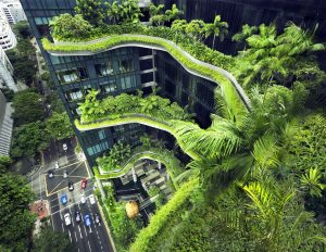 Leading the Way with Eco-Friendly Construction Solutions
