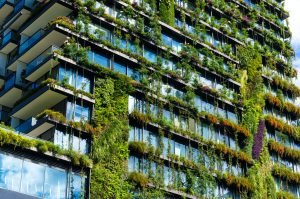 Building a Sustainable Future: Green Construction