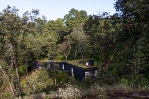Blending Concrete and Nature