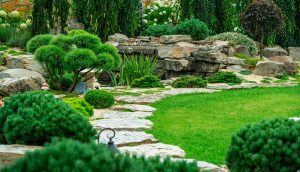 Custom Landscape Design
